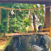 ヒメ日記 2025/04/21 17:48 投稿 あおい アップル(長崎)