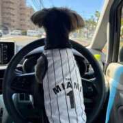 ヒメ日記 2025/04/29 01:18 投稿 あおい アップル(長崎)