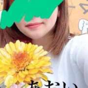 ヒメ日記 2025/06/22 01:18 投稿 あおい アップル(長崎)