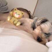 ヒメ日記 2025/11/19 20:33 投稿 あおい アップル(長崎)