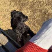 ヒメ日記 2026/01/13 18:18 投稿 あおい アップル(長崎)