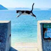 ヒメ日記 2026/01/19 17:33 投稿 あおい アップル(長崎)