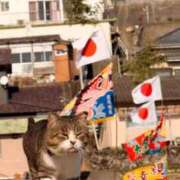 ヒメ日記 2026/01/20 09:18 投稿 あおい アップル(長崎)