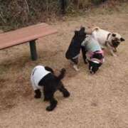 ヒメ日記 2026/01/25 17:03 投稿 あおい アップル(長崎)