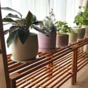 ヒメ日記 2026/02/08 14:03 投稿 あおい アップル(長崎)