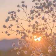 ヒメ日記 2026/02/18 09:42 投稿 あおい アップル(長崎)