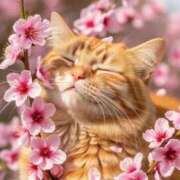 ヒメ日記 2026/02/23 09:33 投稿 あおい アップル(長崎)