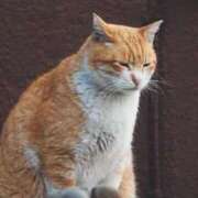 ヒメ日記 2026/03/09 17:27 投稿 あおい アップル(長崎)