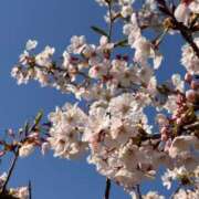 ヒメ日記 2026/04/02 17:03 投稿 あおい アップル(長崎)