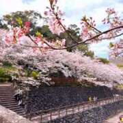 ヒメ日記 2026/04/05 18:12 投稿 あおい アップル(長崎)