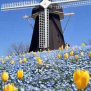 ヒメ日記 2026/04/13 08:57 投稿 あおい アップル(長崎)