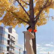 ヒメ日記 2025/12/03 07:17 投稿 ゆめの 熟女家 梅田店