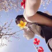 ヒメ日記 2026/02/01 07:07 投稿 ゆめの 熟女家 梅田店