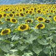 ヒメ日記 2026/02/08 12:57 投稿 ゆめの 熟女家 梅田店