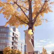 ヒメ日記 2026/03/03 07:07 投稿 ゆめの 熟女家 梅田店