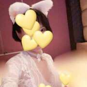 ヒメ日記 2026/03/13 07:07 投稿 ゆめの 熟女家 梅田店