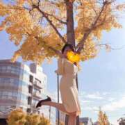 ヒメ日記 2026/03/19 07:17 投稿 ゆめの 熟女家 梅田店