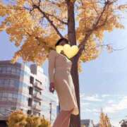 ヒメ日記 2026/05/05 07:17 投稿 ゆめの 熟女家 梅田店