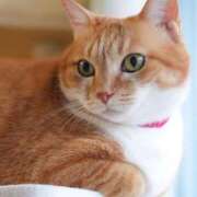 ヒメ日記 2025/10/11 11:53 投稿 ナナオ アロマリラックスリゾート 甲府店