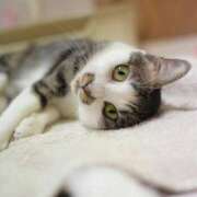 ヒメ日記 2026/01/22 21:24 投稿 ナナオ アロマリラックスリゾート 甲府店