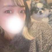 ヒメ日記 2026/01/17 19:58 投稿 もね SAPPORO ばつぐんnet