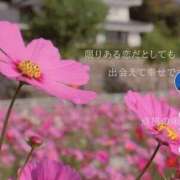 ヒメ日記 2025/05/11 23:03 投稿 藤田【ふじた】 丸妻 西船橋店