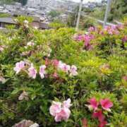 ヒメ日記 2025/08/22 23:55 投稿 藤田【ふじた】 丸妻 西船橋店