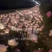 ヒメ日記 2025/09/03 18:07 投稿 藤田【ふじた】 丸妻 西船橋店