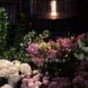 ヒメ日記 2025/09/09 23:24 投稿 藤田【ふじた】 丸妻 西船橋店