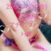 ヒメ日記 2026/04/24 23:08 投稿 れん 素人アロマエステ東京密着ROOM 渋谷店