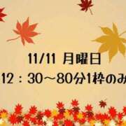 ヒメ日記 2024/11/10 11:00 投稿 葉月 快楽玉乱堂