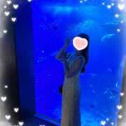 ヒメ日記 2025/06/27 12:29 投稿 まひろ Candy×Candy （キャンディ×キャンディ）