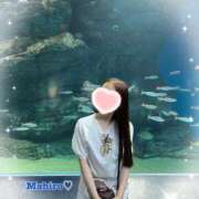 ヒメ日記 2025/10/08 15:02 投稿 まひろ Candy×Candy （キャンディ×キャンディ）