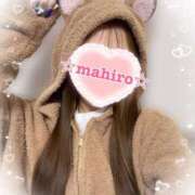 ヒメ日記 2025/11/19 14:29 投稿 まひろ Candy×Candy （キャンディ×キャンディ）