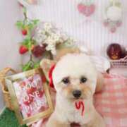 ヒメ日記 2025/06/18 06:56 投稿 えみり フォーチュン