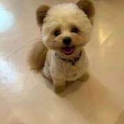 ヒメ日記 2025/08/26 16:28 投稿 えみり フォーチュン