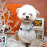 ヒメ日記 2025/10/15 18:03 投稿 えみり フォーチュン