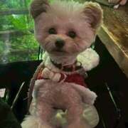 ヒメ日記 2025/12/20 15:44 投稿 えみり フォーチュン