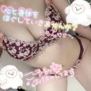 ヒメ日記 2025/03/15 18:31 投稿 まろん マイクロビキニSPA TOKYO新宿