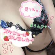 ヒメ日記 2025/05/11 03:34 投稿 まろん マイクロビキニSPA TOKYO新宿