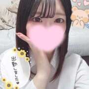 ヒメ日記 2026/02/14 14:29 投稿 つゆ 静岡ハンパじゃない伝説