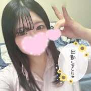 ヒメ日記 2026/06/08 14:41 投稿 つゆ 静岡ハンパじゃない伝説