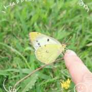 ヒメ日記 2023/09/12 12:41 投稿 あや 渋谷角海老