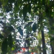 ヒメ日記 2025/07/09 10:50 投稿 あや 渋谷角海老