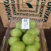 ヒメ日記 2025/09/16 21:20 投稿 あや 渋谷角海老