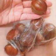 ヒメ日記 2025/10/05 16:40 投稿 あや 渋谷角海老