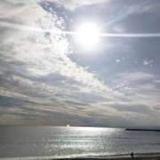 ヒメ日記 2025/11/19 09:50 投稿 あや 渋谷角海老