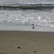 ヒメ日記 2025/11/21 08:50 投稿 あや 渋谷角海老