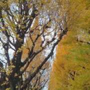 ヒメ日記 2025/12/02 15:05 投稿 あや 渋谷角海老