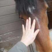 ヒメ日記 2026/01/07 07:20 投稿 あや 渋谷角海老